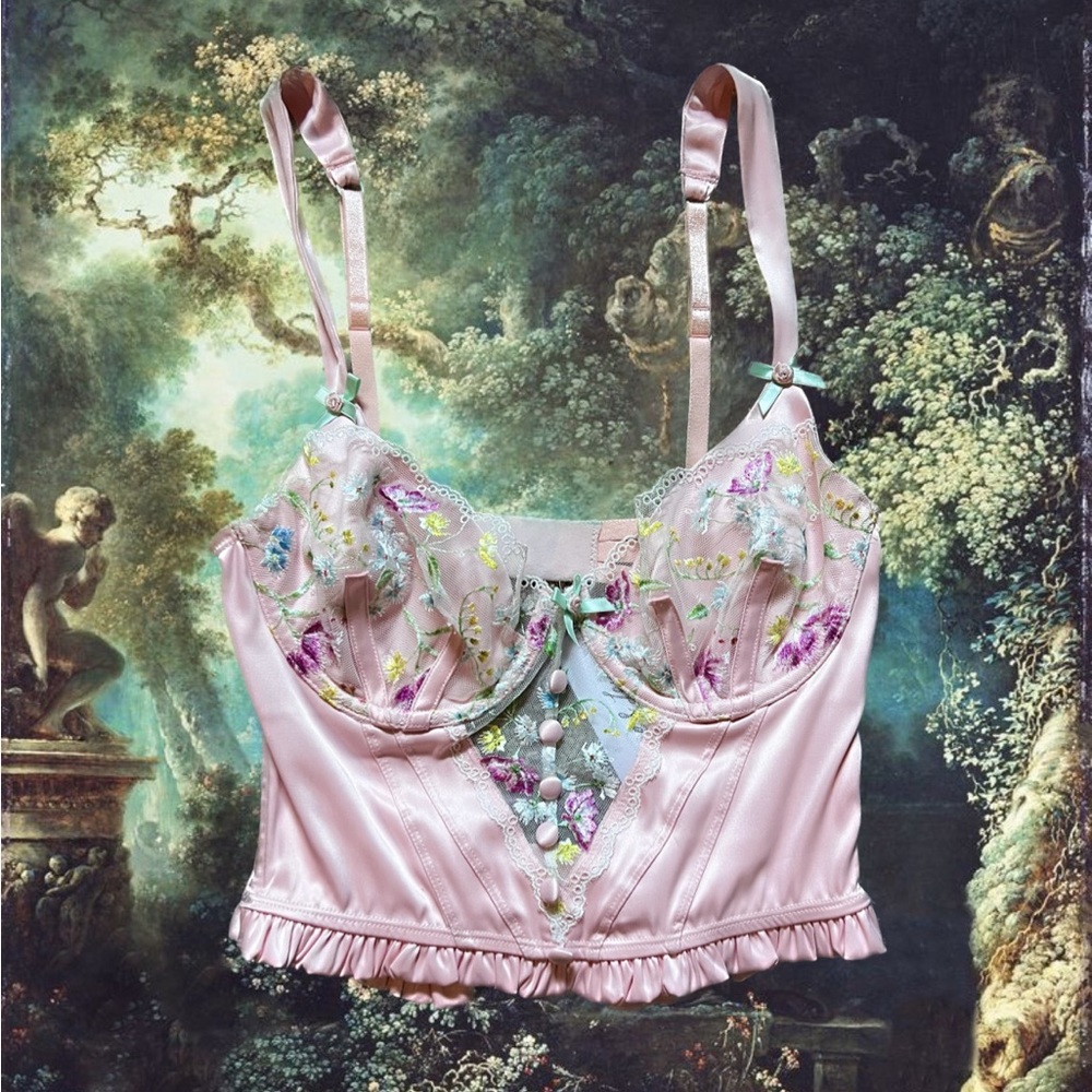 ˚✧₊⁎For Love and Lemons Midsummer Bustier⁎⁺˳✧༚